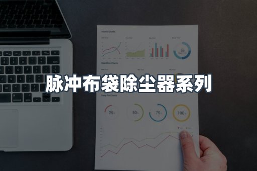 脉冲布袋除尘器系列